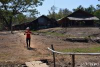 post-153732-0-99243900-1391956622_thumb.