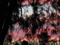 post-185776-0-97496500-1392890999_thumb.