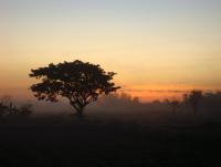 post-190508-0-23392900-1391530392_thumb.