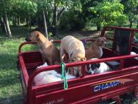 post-200556-0-58711500-1392565138_thumb.