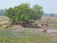 post-2215-0-00259100-1393470424_thumb.jp