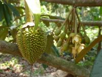 post-2215-0-06690900-1393469763_thumb.jp