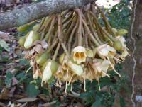 post-2215-0-97513700-1393469643_thumb.jp