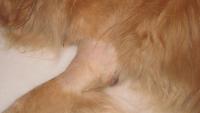 post-25991-0-39612400-1391942000_thumb.j
