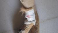 post-25991-0-47821400-1393058064_thumb.j
