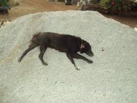 post-32351-0-06340700-1393098204_thumb.j