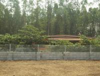 post-32351-0-71656300-1393097979_thumb.j