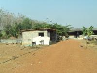 post-32351-0-97613400-1393069794_thumb.j