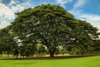 post-40226-0-13527700-1392039290_thumb.j