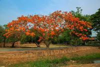 post-40226-0-56475200-1392040469_thumb.j