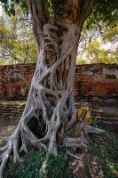 post-40226-0-90166400-1392040900_thumb.j