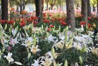 post-42806-0-08885600-1392415845_thumb.j