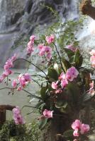 post-42806-0-25102000-1392415998_thumb.j