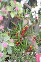 post-42806-0-43676900-1392415453_thumb.j