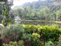 post-62520-0-00958900-1392260713_thumb.j