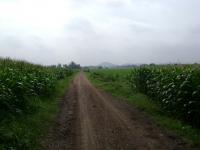 post-77463-0-65790800-1391591988_thumb.j