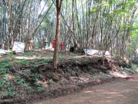 post-12069-0-57789900-1424435790_thumb.j