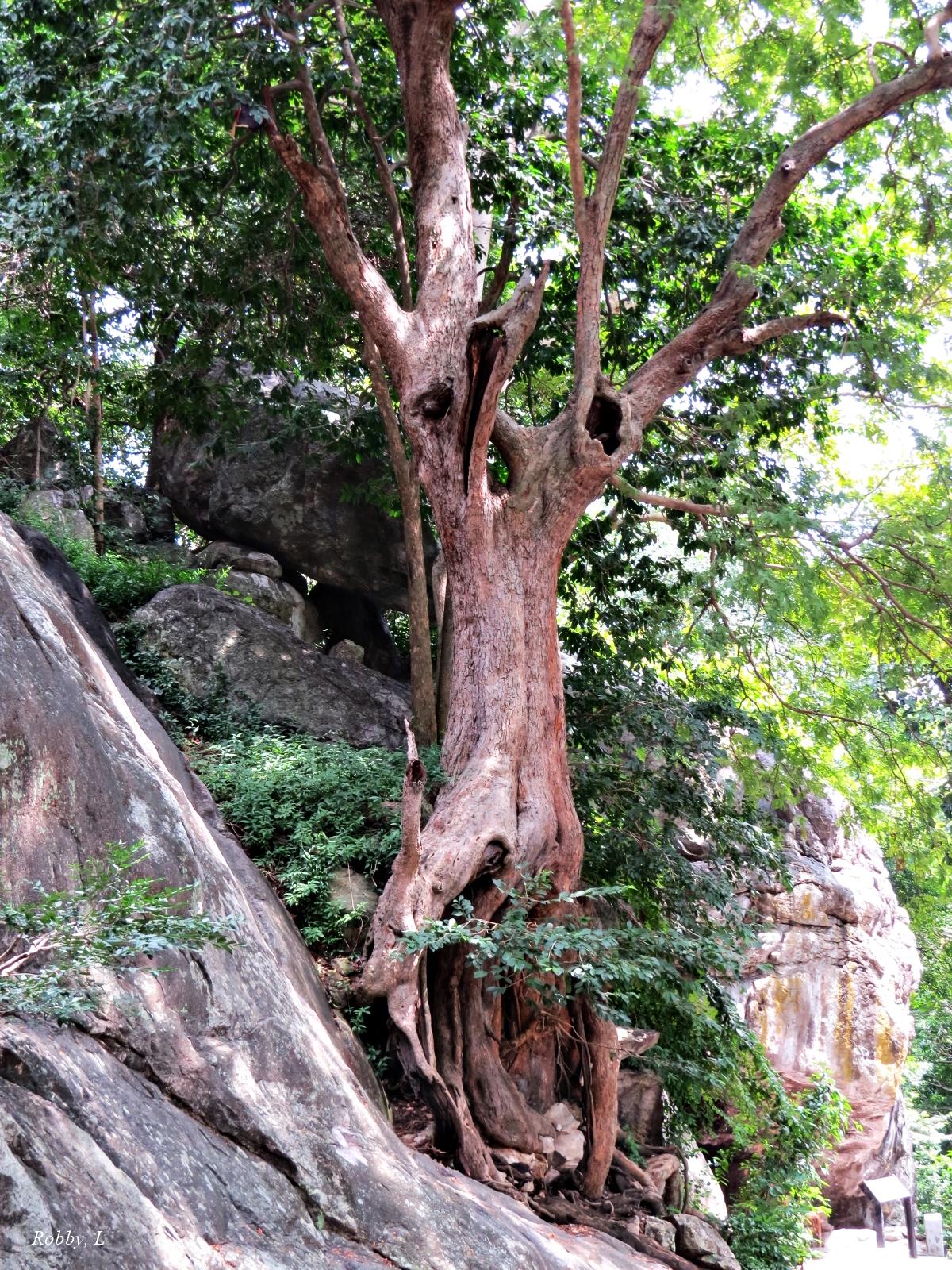 post-12069-0-76263900-1424786123_thumb.j