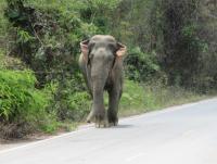 post-143096-0-43119700-1424691486_thumb.