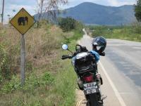 post-143096-0-77574600-1424691452_thumb.