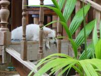 post-231841-0-12606700-1423635913_thumb.