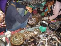 post-231841-0-12883200-1423728380_thumb.