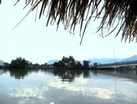 post-231841-0-14619500-1423045049_thumb.