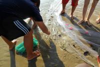 post-231841-0-37458900-1422896434_thumb.