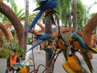 post-231841-0-45373200-1423653973_thumb.