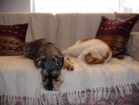 post-231841-0-48896400-1423620653_thumb.