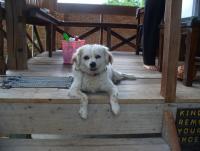 post-231841-0-54577500-1423619066_thumb.