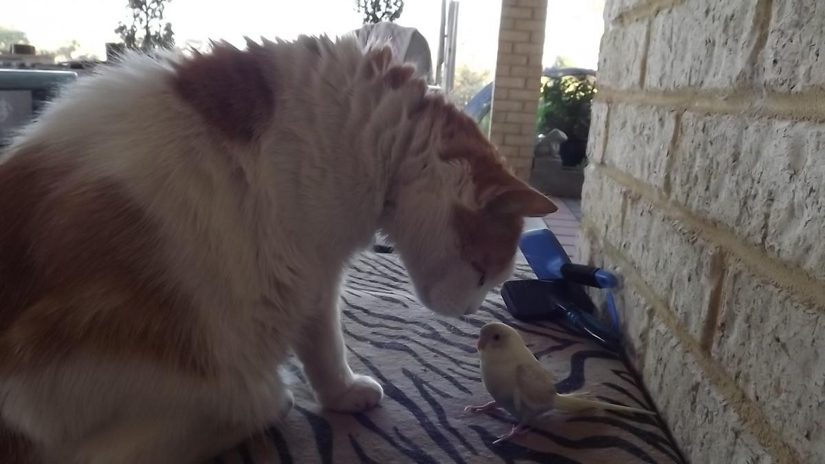 post-231841-0-74233500-1424869991_thumb.