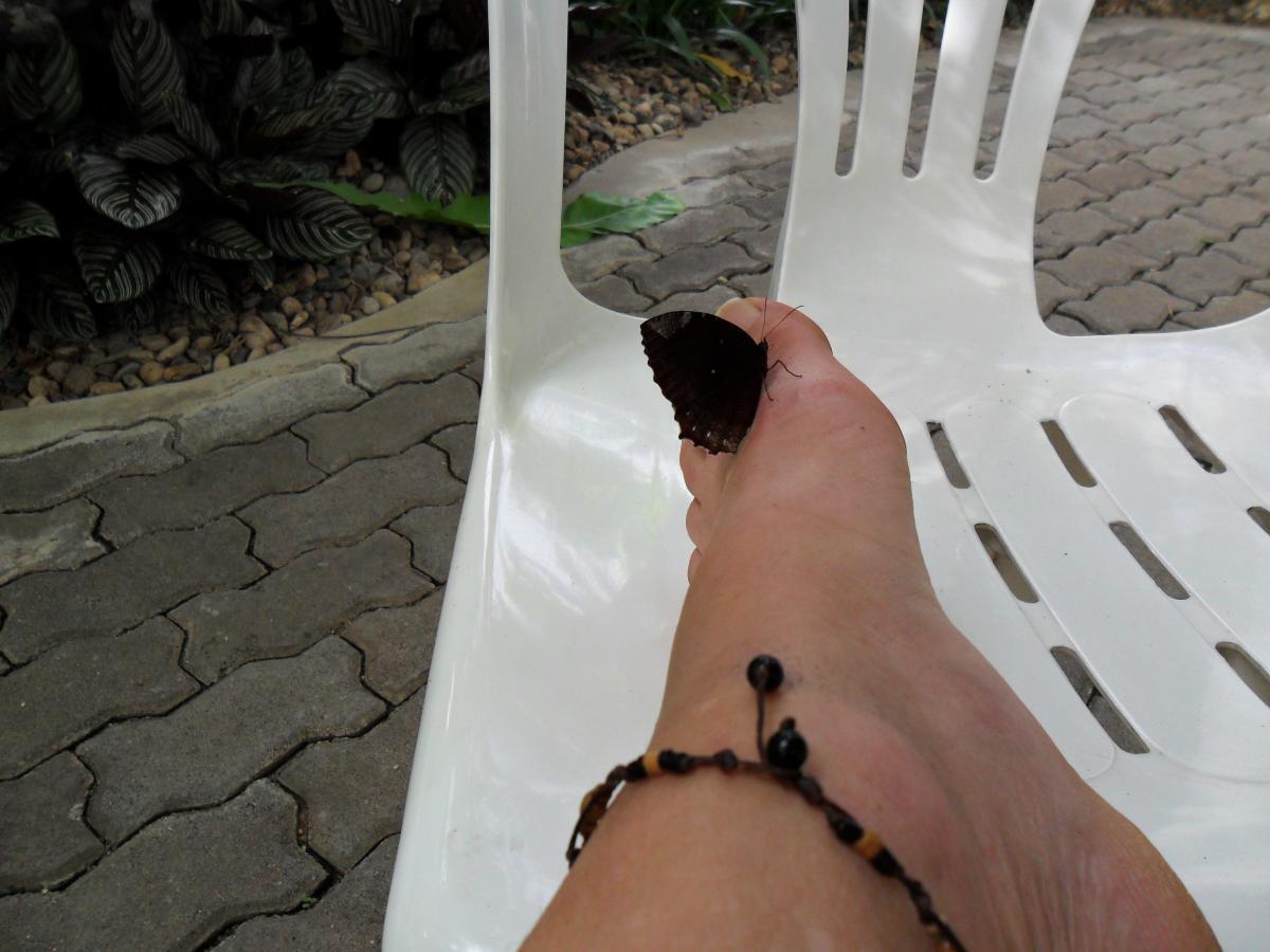 post-231841-0-92981600-1424871931_thumb.