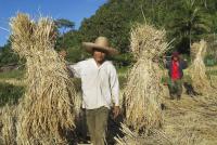 post-231994-0-73125500-1423514324_thumb.