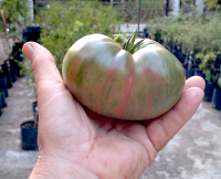 post-37242-0-04187900-1424629155_thumb.p