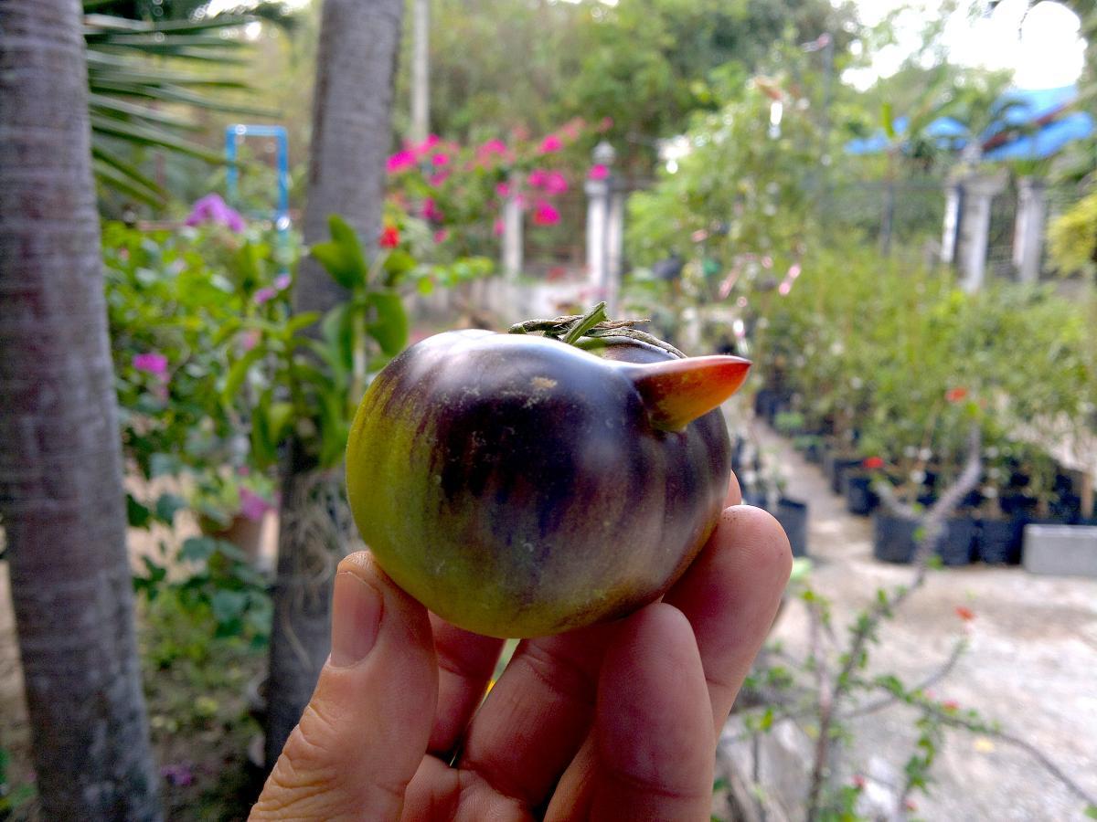 post-37242-0-29965900-1424794790_thumb.j