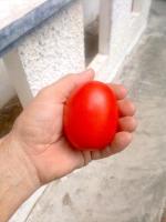 post-37242-0-45309300-1424204769_thumb.j