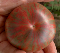 post-37242-0-56781000-1424628986_thumb.p