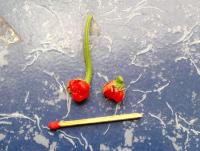 post-37242-0-62566700-1424466168_thumb.j