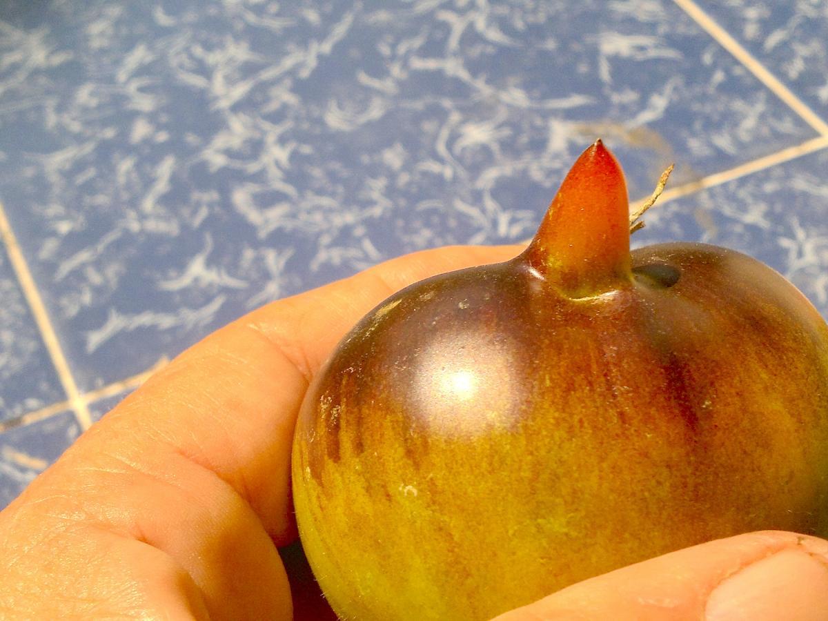 post-37242-0-70284000-1424794817_thumb.j