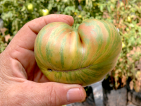 post-37242-0-70842900-1424629051_thumb.p