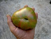 post-37242-0-89135400-1424629123_thumb.j