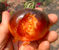 post-37242-0-90951600-1423723157_thumb.p