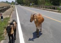 post-42592-0-85283000-1423831607_thumb.j