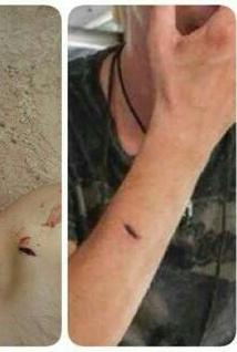 post-69687-0-89367700-1424872677_thumb.j