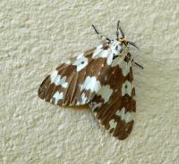 post-9958-0-12978000-1424698087_thumb.jp