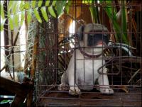 post-9958-0-36068300-1423216030_thumb.jp