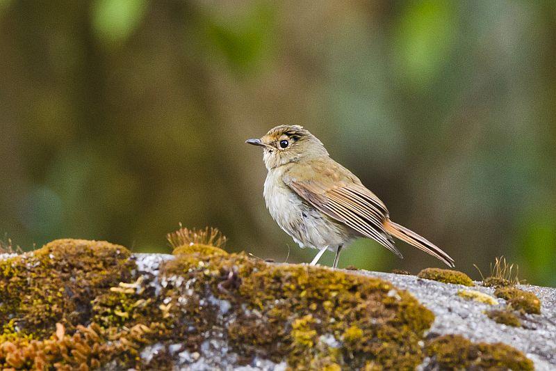 post-128422-0-02618800-1455340363_thumb.