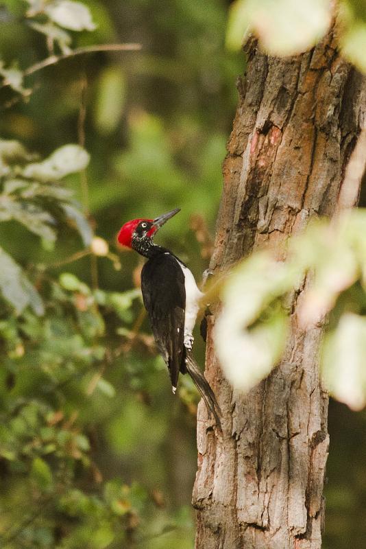 post-128422-0-64116900-1454384759_thumb.