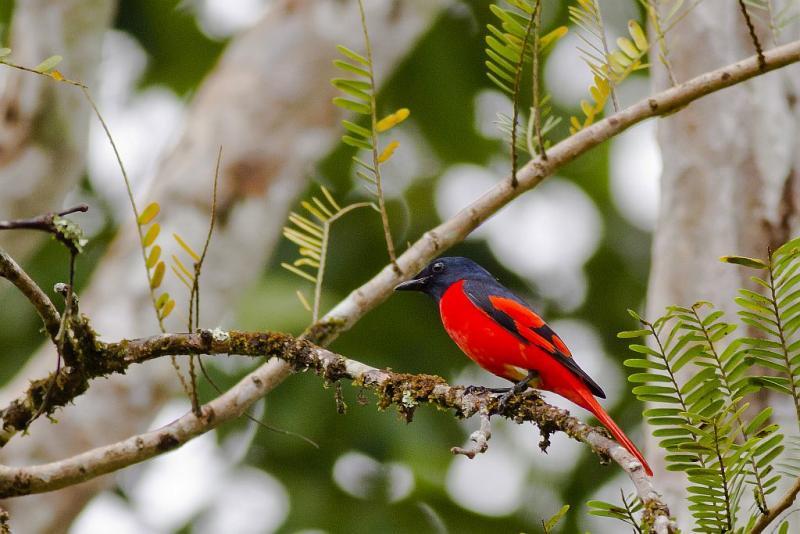 post-128422-0-88477400-1454578516_thumb.